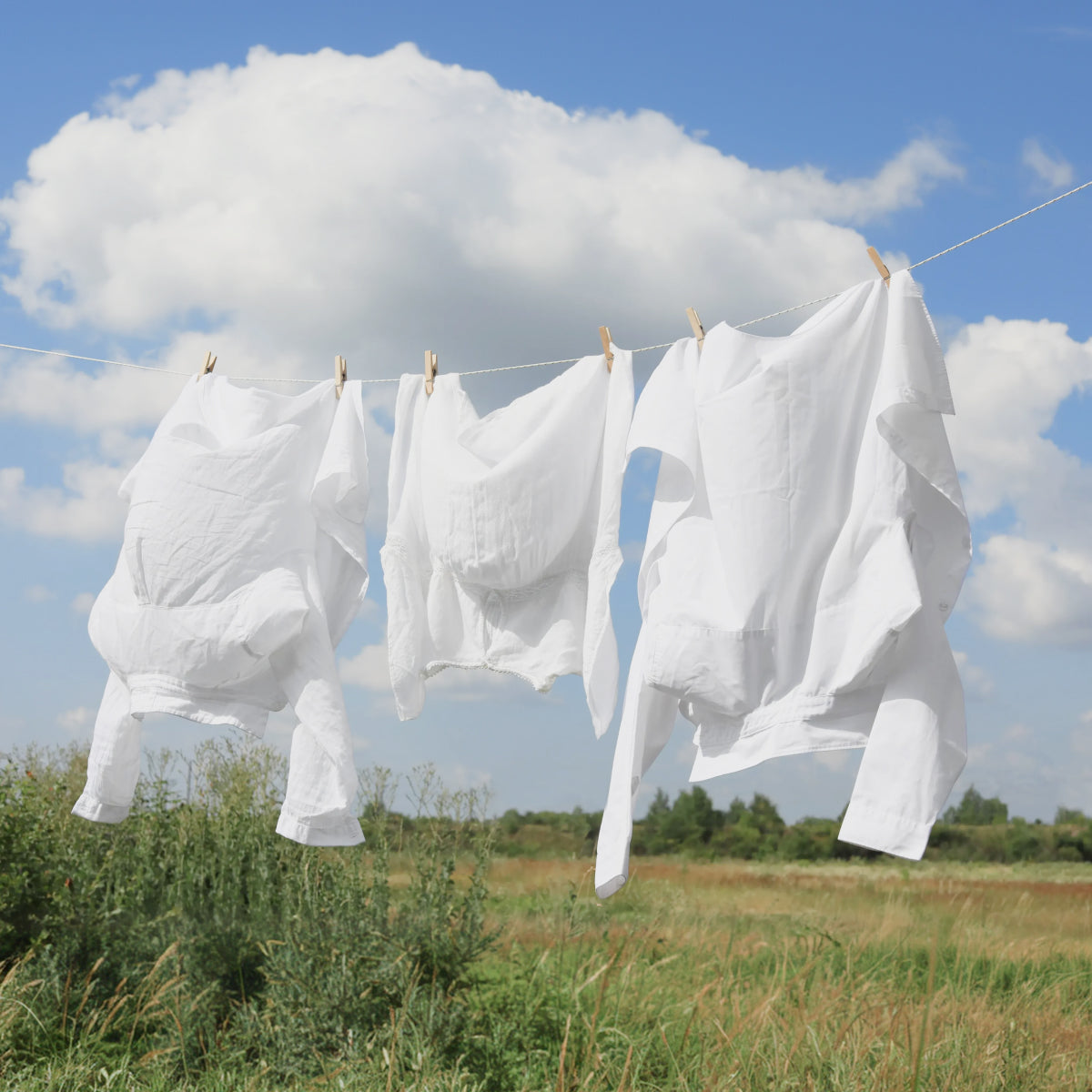 Pourquoi le coton rétrécit-il au lavage ? Tout ce qu'il faut savoir