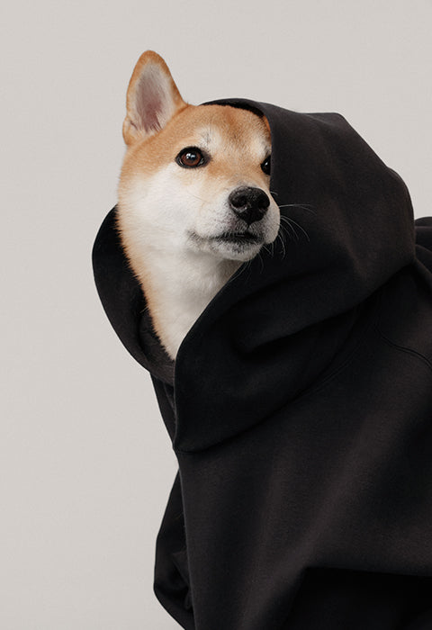 Sweat à capuche Jamie - Noir